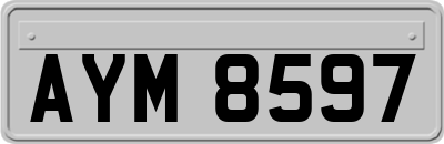 AYM8597
