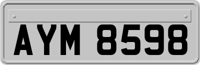 AYM8598