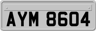 AYM8604