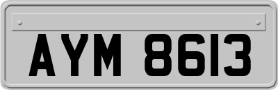 AYM8613