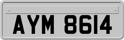 AYM8614