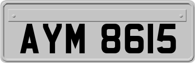 AYM8615