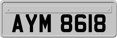 AYM8618