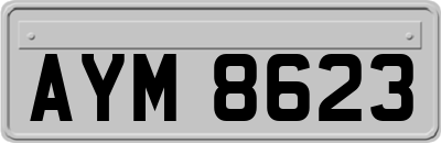 AYM8623