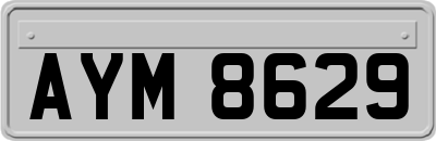 AYM8629