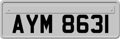 AYM8631