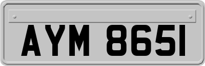 AYM8651