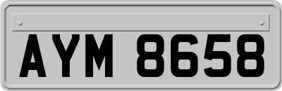 AYM8658