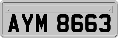 AYM8663