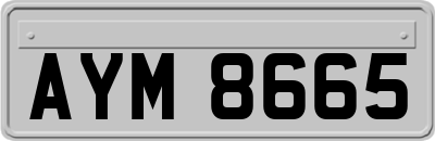 AYM8665