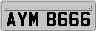 AYM8666