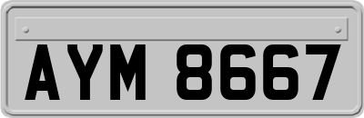 AYM8667
