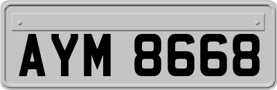 AYM8668