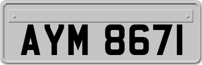 AYM8671