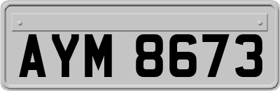 AYM8673