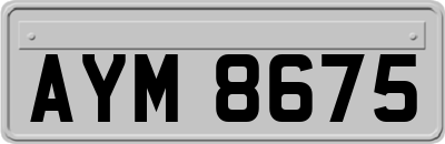 AYM8675