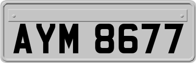 AYM8677