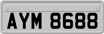 AYM8688