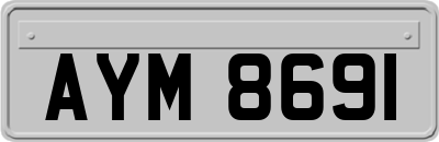 AYM8691