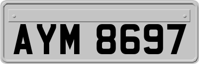 AYM8697