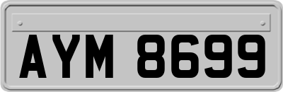 AYM8699