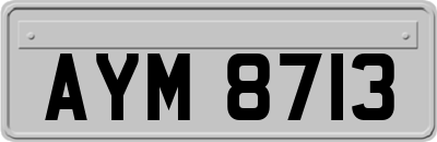 AYM8713
