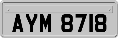 AYM8718