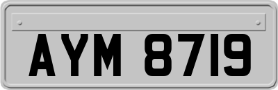 AYM8719