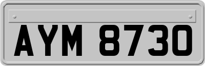 AYM8730