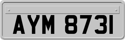 AYM8731