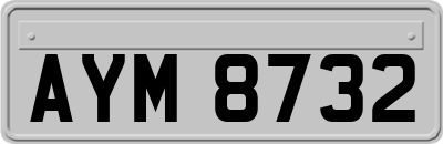 AYM8732