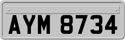 AYM8734