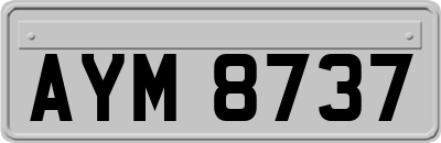 AYM8737