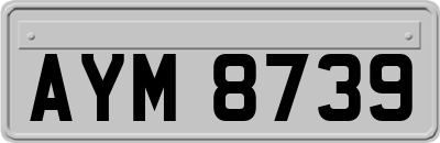AYM8739