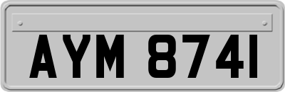 AYM8741