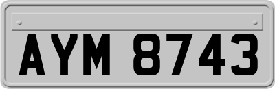 AYM8743