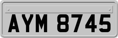 AYM8745