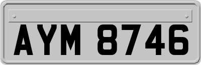 AYM8746