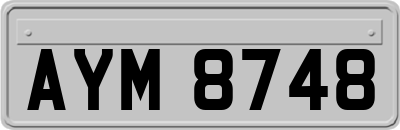 AYM8748