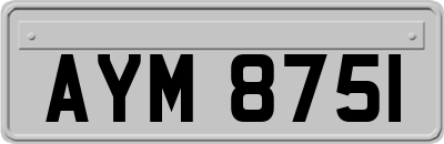 AYM8751