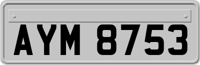 AYM8753