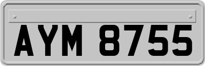 AYM8755