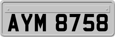 AYM8758