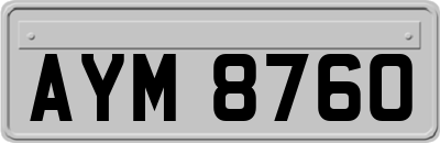 AYM8760