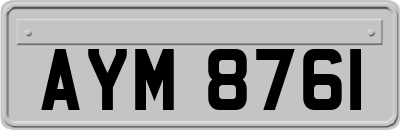 AYM8761