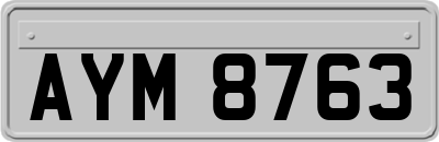 AYM8763