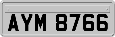 AYM8766