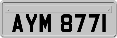 AYM8771
