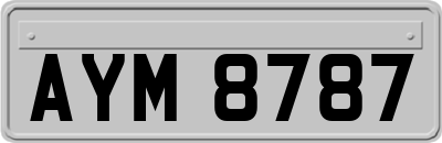 AYM8787