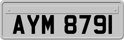 AYM8791